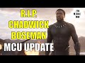 R.I.P. Chadwick Boseman | The Middle Man MCU Update