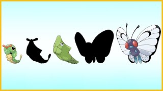 What If Pokemon Had More Evolution Stages? Caterpie Metapod Erfree