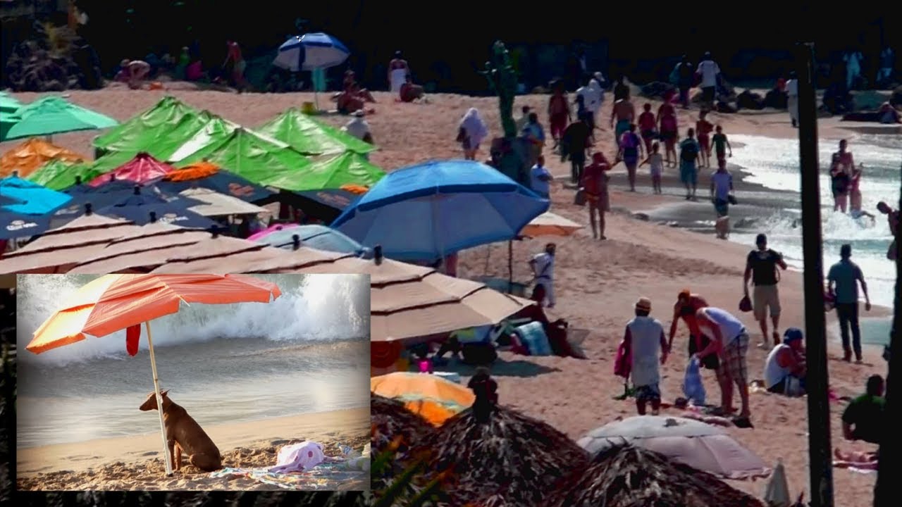 Playa los Muertos (Los Muertos Beach) Puerto Vallarta 2016