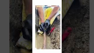 Fiberglass wrap for repairing a pinhole leak in rusted galvanized pipe