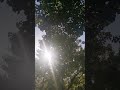 2026 Autumn 1 Early Fall in Melbourne VIC Australia #Shorts