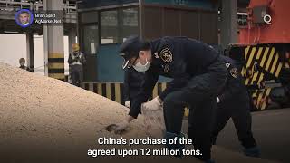 An Uncertain Outlook for US Soybeans in 2026 | Presented by CME Group