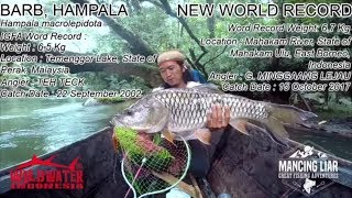 Download lagu Barb, Hampala New World Record 6,7Kg - 14,8lb, Indonesia 15 Oktober 2017
