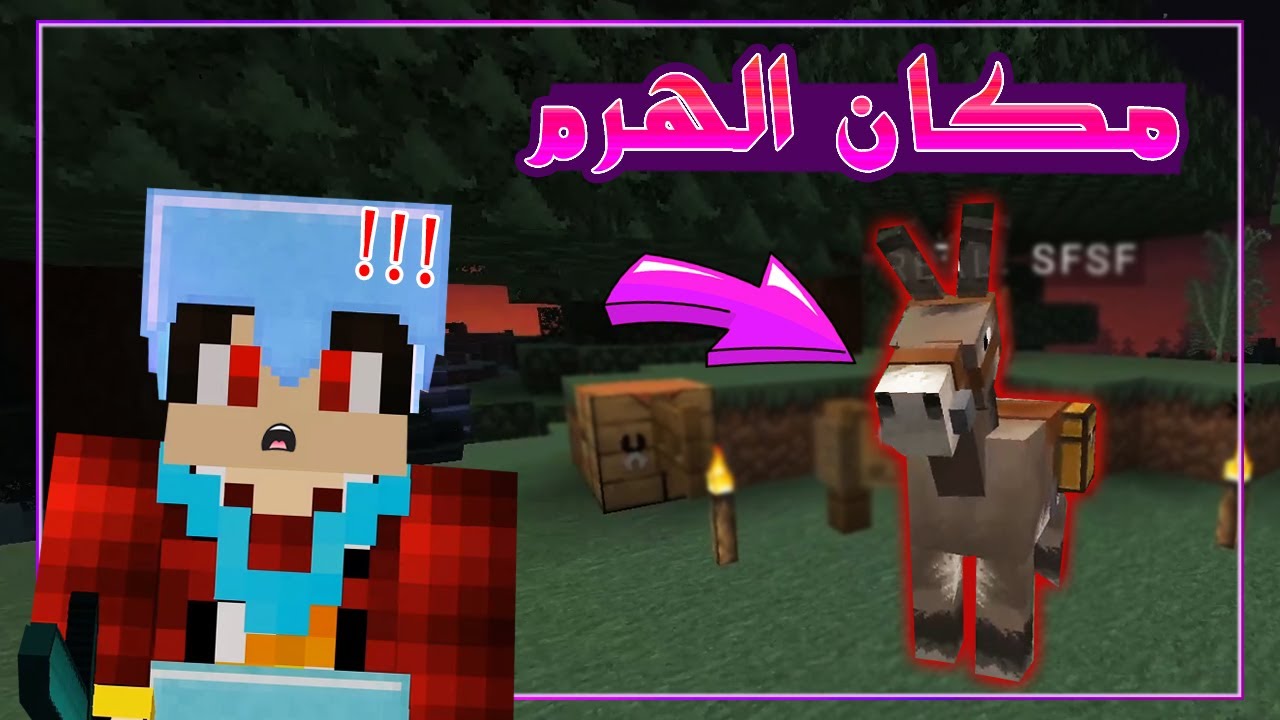 دكتور كرافت #72 - صفصف عرف مكان الهرم !! 😦🔥
