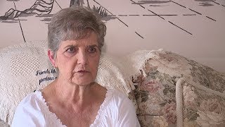Cats Removed from Property of Elderly Woman Sentenced to Jail After Feeding Strays