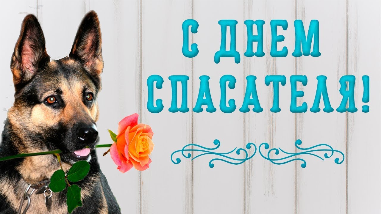 Поздравления с днем спасателя в фото 548