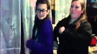 Cucaracha Gallina Pintadita Rapidisisimo