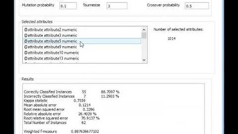 Hybrid Metaheuristic for Gene Selection (MicroArrays)