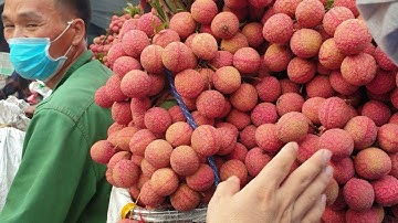 Cầu Chét Vải Ngập Đường, Vải Xấu Khó Bán, Vải Đẹp Giá Vẫn 25k