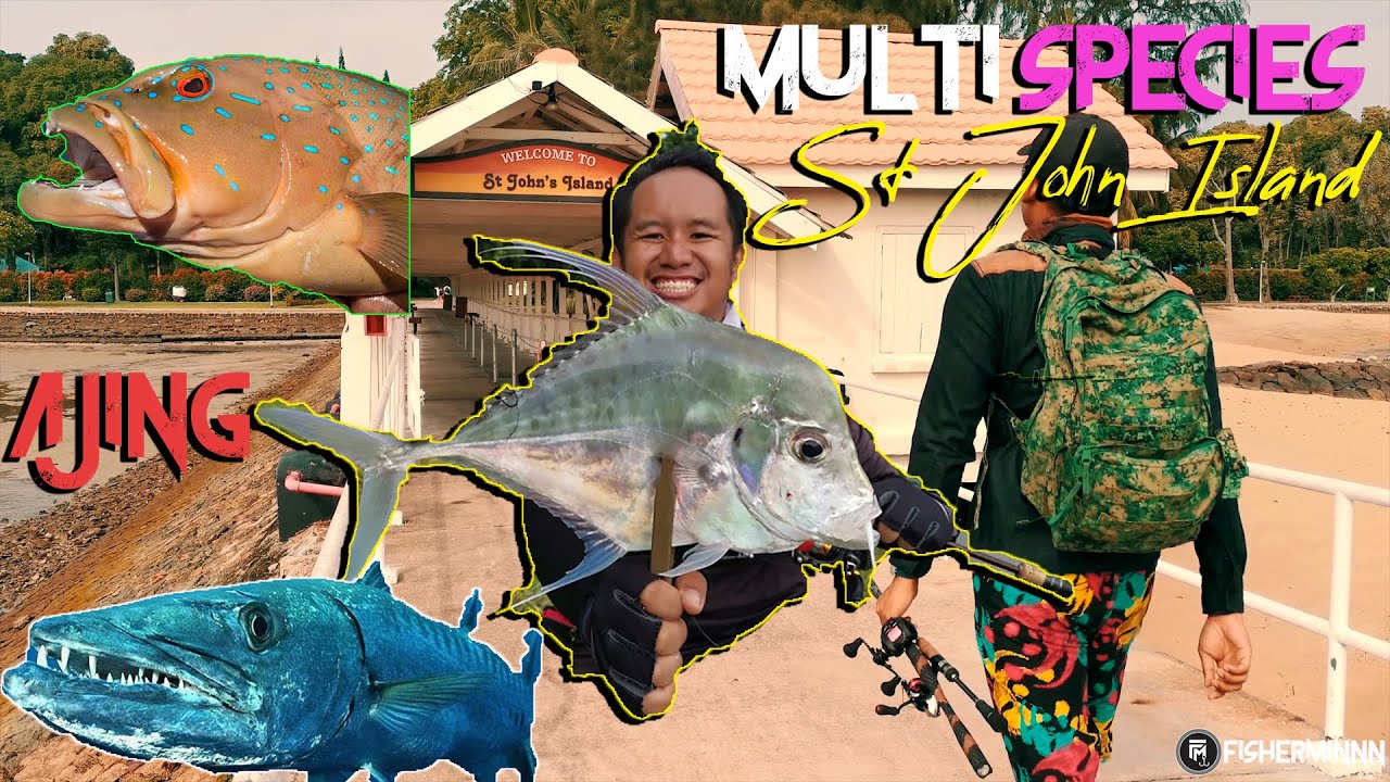 Multi Species Ajing in St John Island