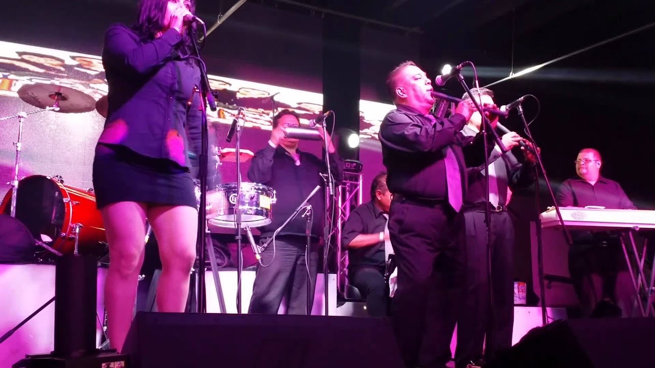 Vuela mariposa en vivo