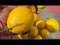 Big Citrus Harvest - January 17, 2026