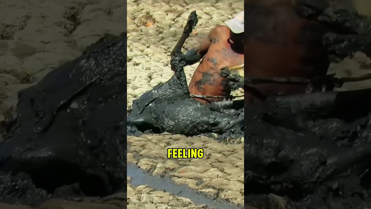 Man Rescues Impala From Mud