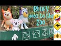 BLUEY AND BINGO AT THE ZOO 