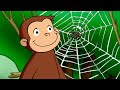 It's a Spider Monkey! 🐵 Full Episodes 🐵 Curious George | Animal Friends