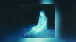 leadwave - fly