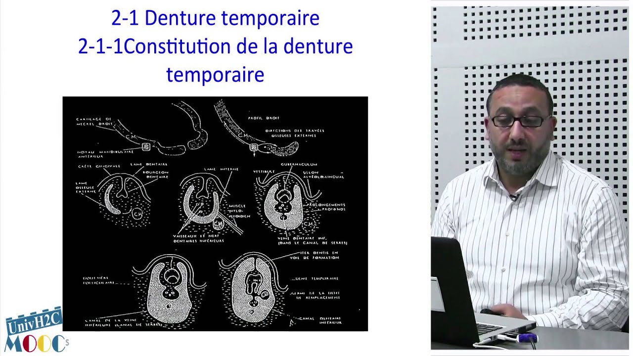 Introduction à l'orthodontie CH3