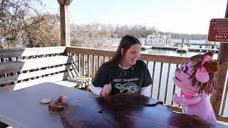 Pinkys Smithsonian Adventure: Counting Birthday Years in Tree Rings