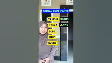 Vocabulary building, memorize it now! #belajarbahasainggris #vocabulary #englishtips