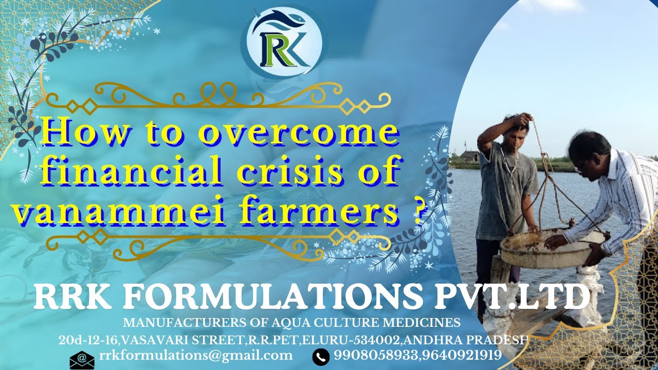 HOW TO OVERCOME FINANCIAL CRISIS OF VANAMMEI FARMERS (HINDI)-PART 2
