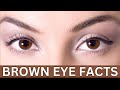حقائق عن العيون البنية حقائق عن ذوي العيون البنية حقائق عن لون العيون 