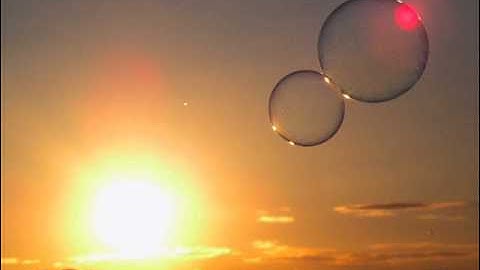 The Atomica Project-Gravity