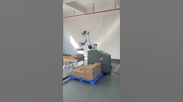 Why are palletizers a must-have for modern factories?#robot #automobile #cobot #palletizer