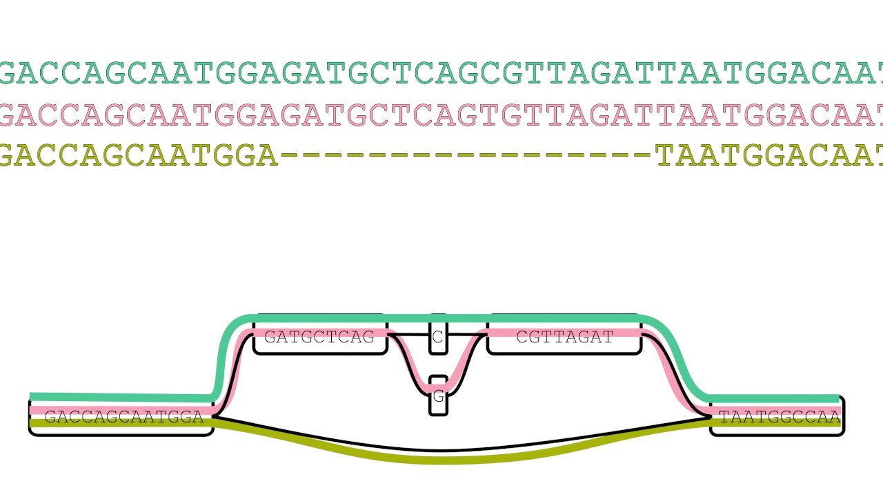 Giraffe paper overview