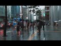[4K Rain Walk] 서울의 봄비 내리던날, 명동에서 종로까지, 우산을 받쳐들고