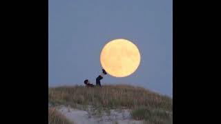 Video thumbnail of "[FREE] Indie x Bedroom Pop Type Beat - 'Under The Moon'"