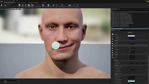Customize Meta Human Expressions with Mesh Morpher