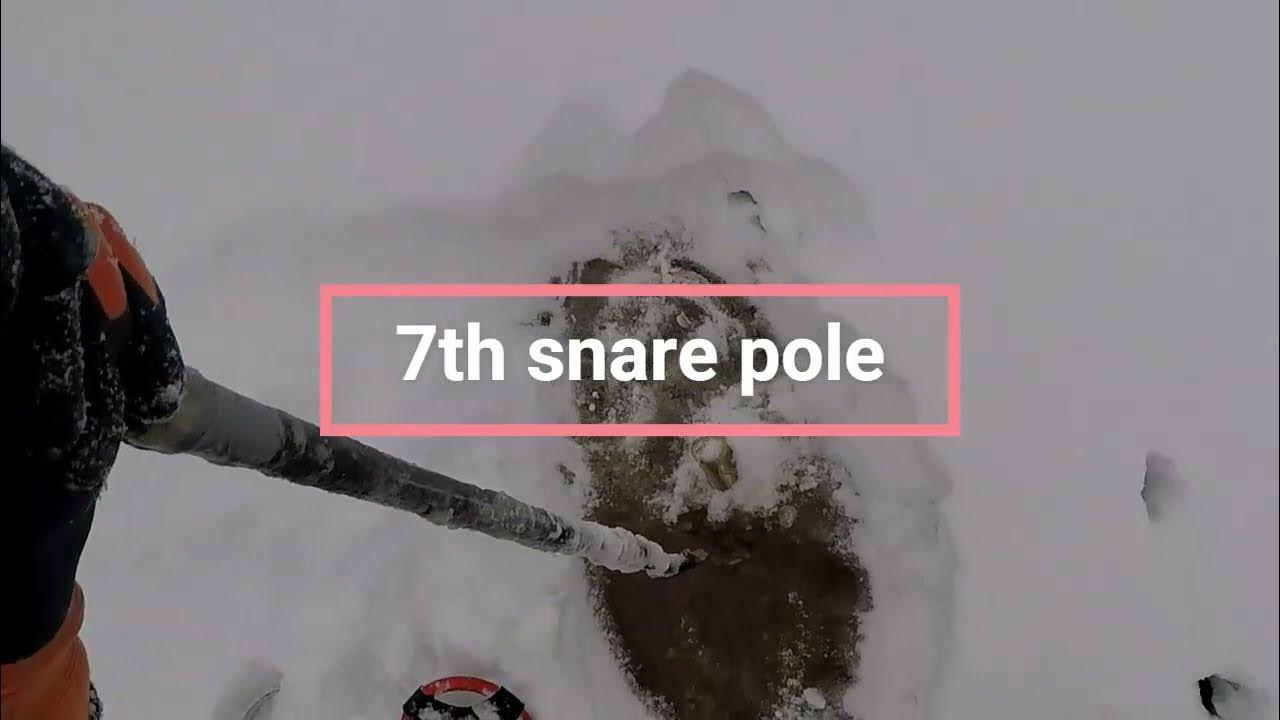 Successful Beaver Snaring Under the Ice. 9 snares set, 5 beavers caught