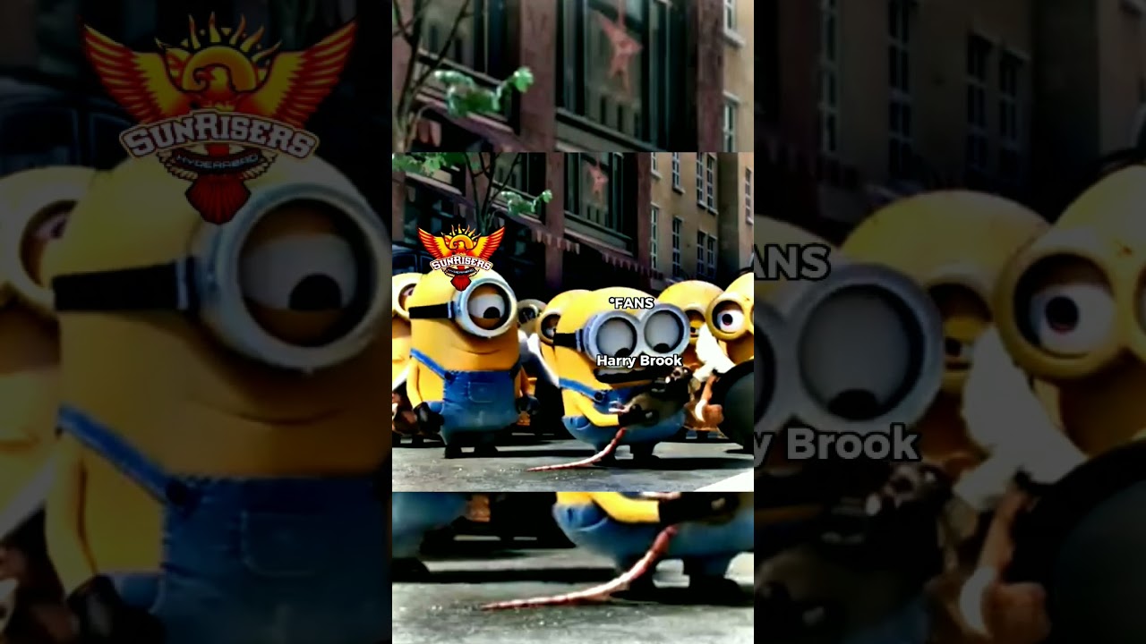 Sunrises Hyderabad Misses David Warner 💔 