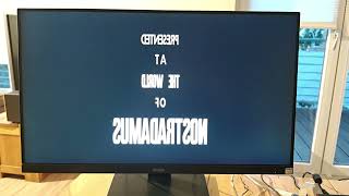 Framethrower Amiga Pistorm RGB and P96 at once. 