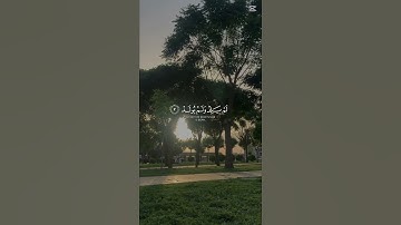 سورة الخلاص. قل هو الله  أحد(١)، الشيخ ماهر المعيقلي، #القران_الكريم #اكسبلور #القران