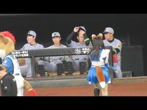 2025 06 03 きつねダンスの時の阪神タイガースのベンチ ちょっと踊っちゃう熊谷くん