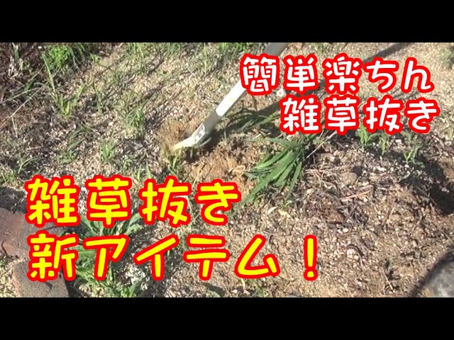 立ったままで簡単楽ちん雑草抜き 雑草抜き用便利アイテムでお庭の雑草を一掃 カツ ガレーヂgarden04 雑草抜き道具 Youtube 立ったままで簡単楽ちん雑草抜き 雑草抜き用便利アイテムでお庭の雑草を一掃 カツ ガレーヂgarden04 雑草抜き道具 Youtube