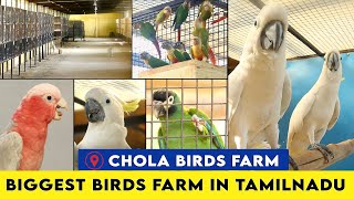 Biggest Birds Farm in Tamilnadu ~Chola Birds Farm