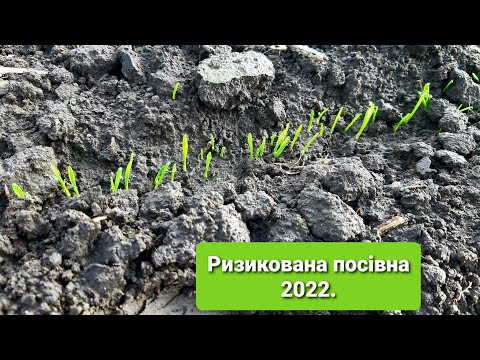 Ризикована посівна 2022!Озима