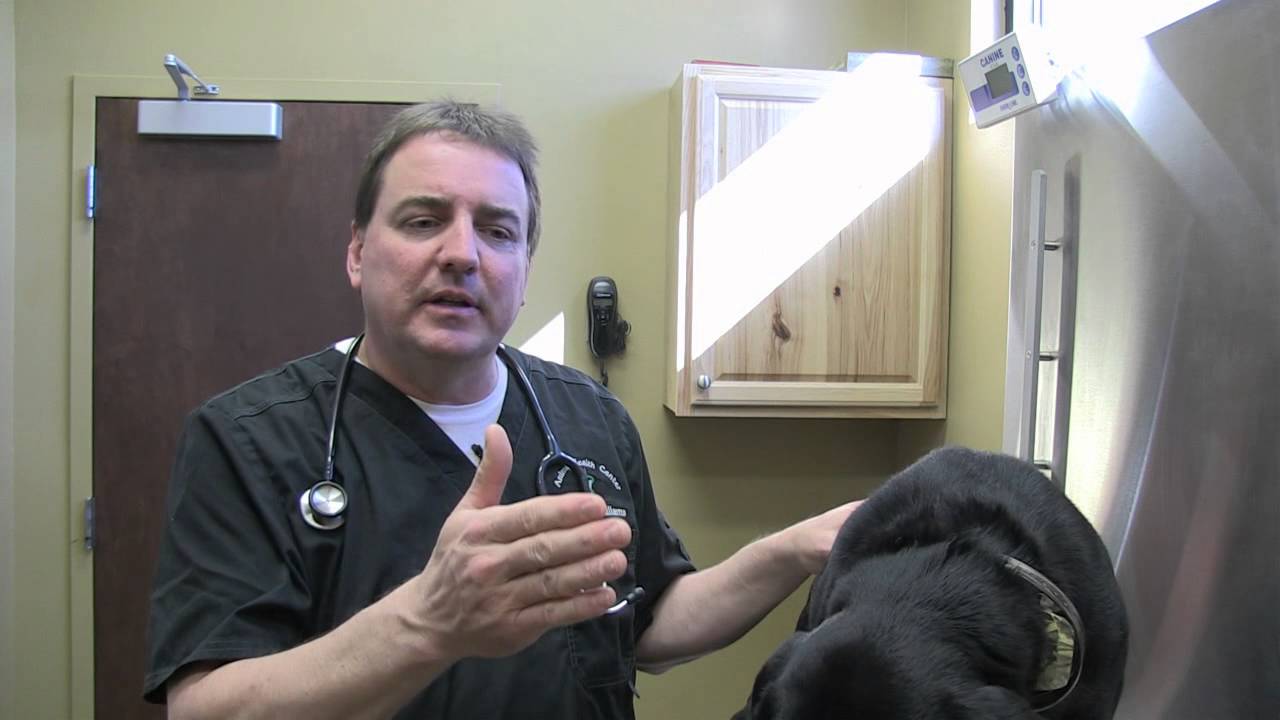 Dr williams youtube