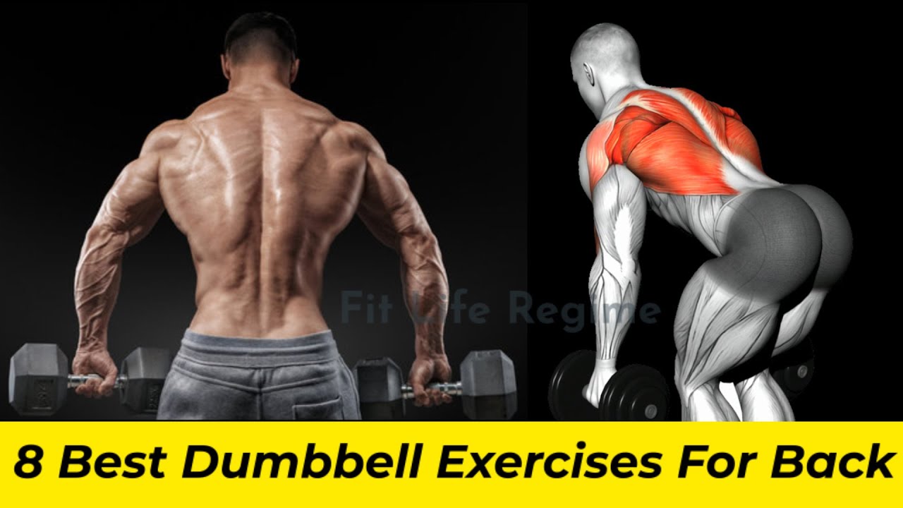 Best Dumbbell Back Exercises For Size And Strength