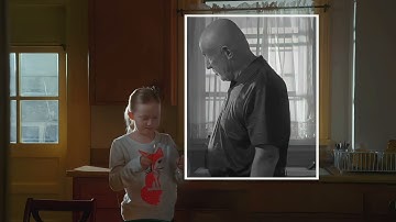 Breaking Bad | Presence of Absence | Two Different Worlds by KoruSe |Cinewaffles