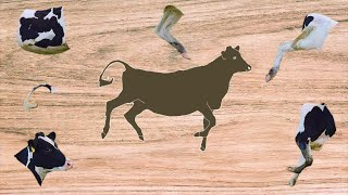 Cute Animals Black-And-White Cow Puzzle 귀여운 동물 흑백 암소 퍼즐