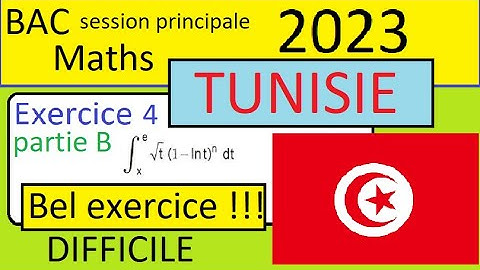 BAC MATHS  session principale TUNISIE 2023- Corrigé Exercice 4 partie B intégrales et sommes-