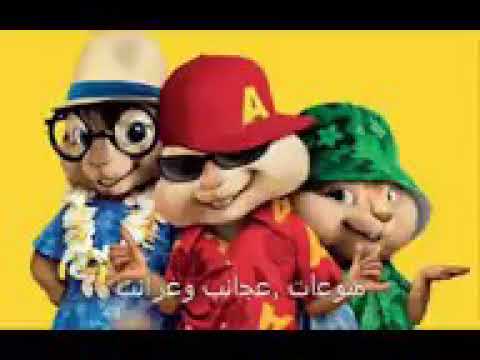 الفار الصندوق