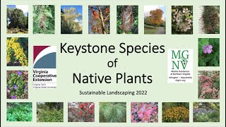 Keystone Species of Native Plants screenshot 4
