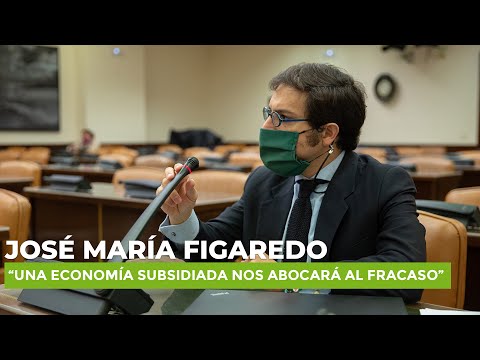 Figaredo en la comisión de industria: “Una economía subsidiada nos abocará al fracaso”