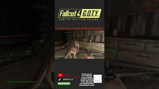 handsome #isa #live #stream #fallout4 #clips #playthrough #gaming #ytshorts #action #rpg #dogmeat