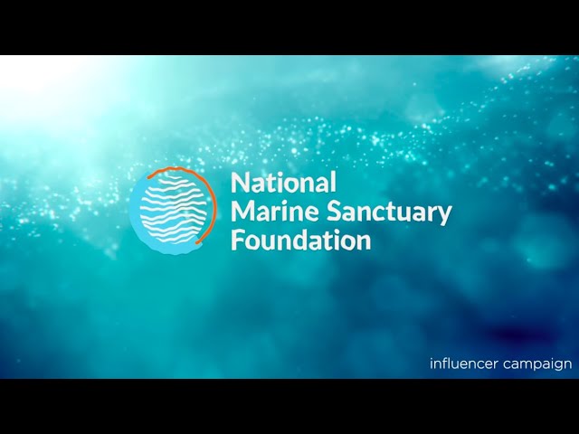 National Marine Sanctuary Foundation