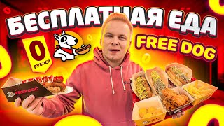видео: Бесплатная Еда в Москве! /Хот-Дог За 0 РУБЛЕЙ КАЖДЫЙ ДЕНЬ! / Free Dog от Директора Black Star Burger картинка: Бесплатная Еда в Москве! /Хот-Дог За 0 РУБЛЕЙ КАЖДЫЙ ДЕНЬ! / Free Dog от Директора Black Star Burger